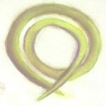 roundworm